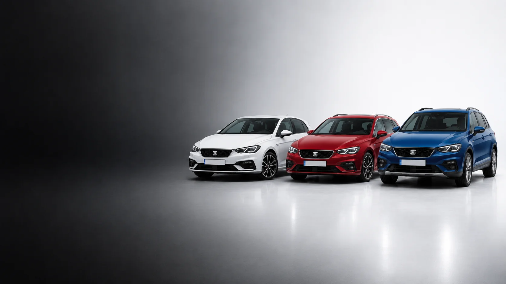 Seat DSG Getriebe Probleme