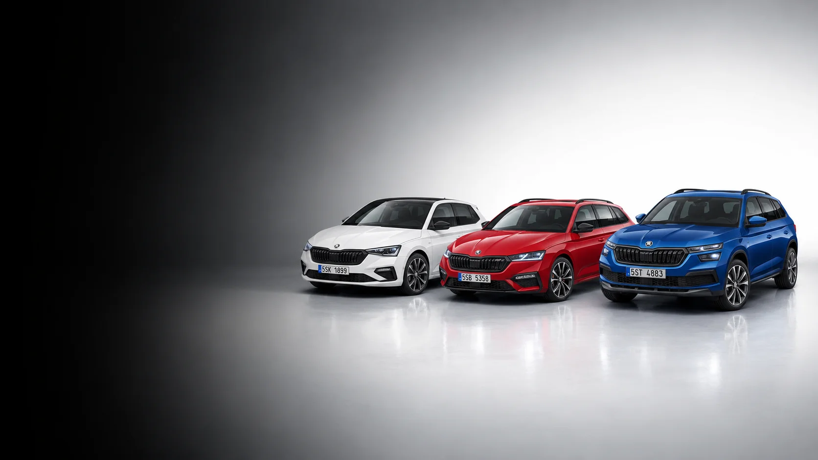 Skoda DSG Getriebe Probleme