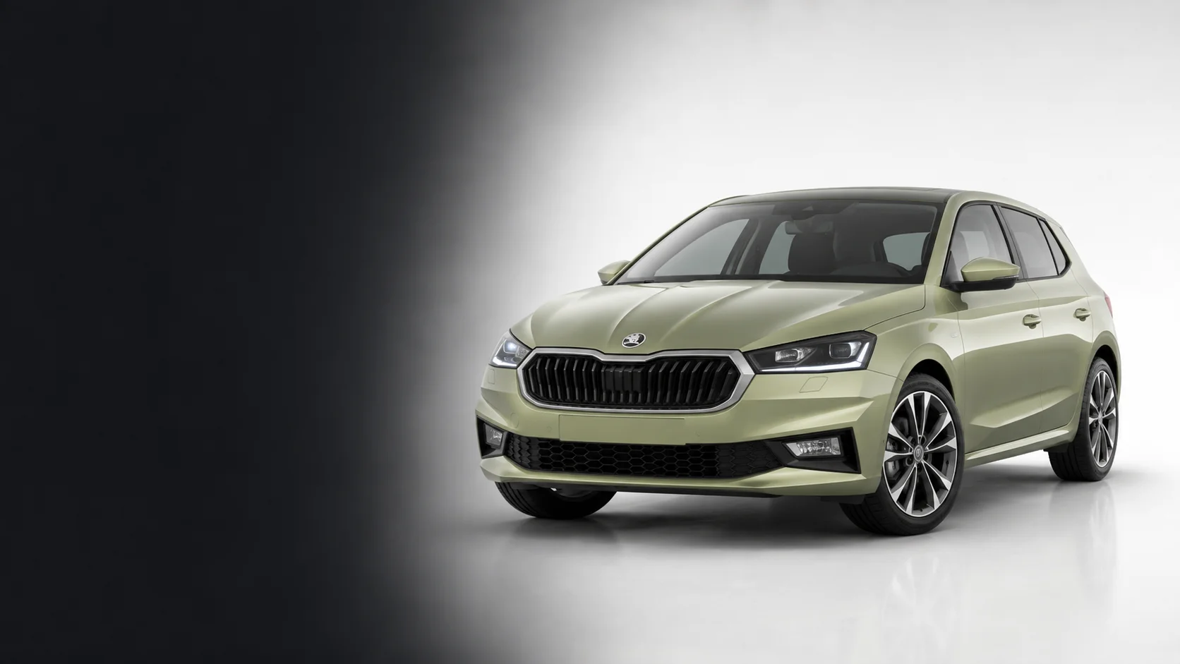 Skoda Fabia DSG Getriebe Probleme